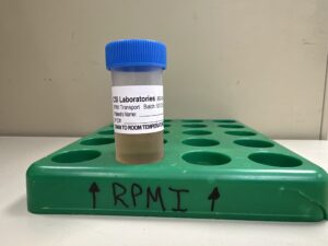 RPMI Medium - Singles